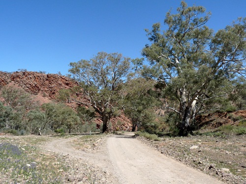 Brachina Gorge